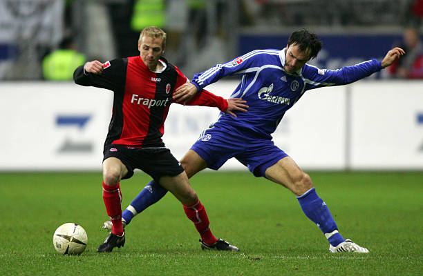 提供了更多 提供了更多